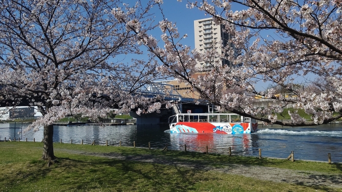 【D203】スカイダック東京　桜✿　スプラッシュツアー（3/20～4/6）