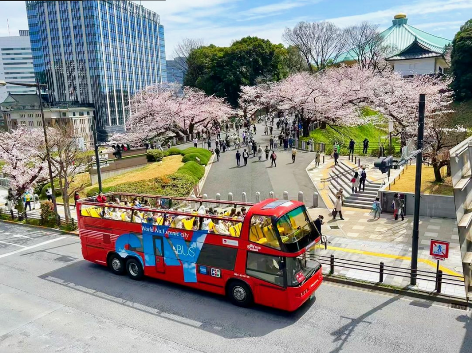 屋根なし2階建て SKYBUS｜屋根なし2階建て SKYBUS｜フォトギャラリー