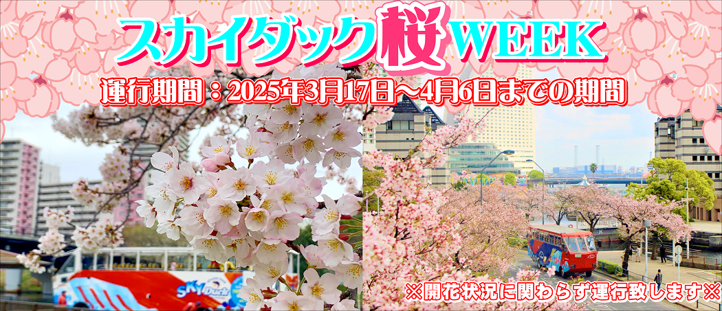 【桜】ダック